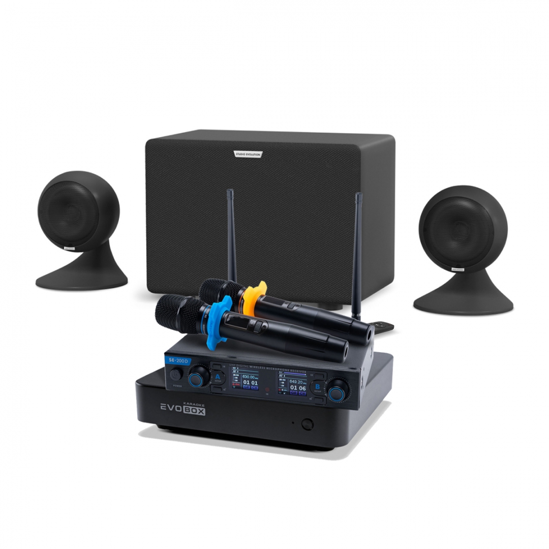 караоке-комплект EVOBOX + EvoSound Sphere 2.1 в Тамбове