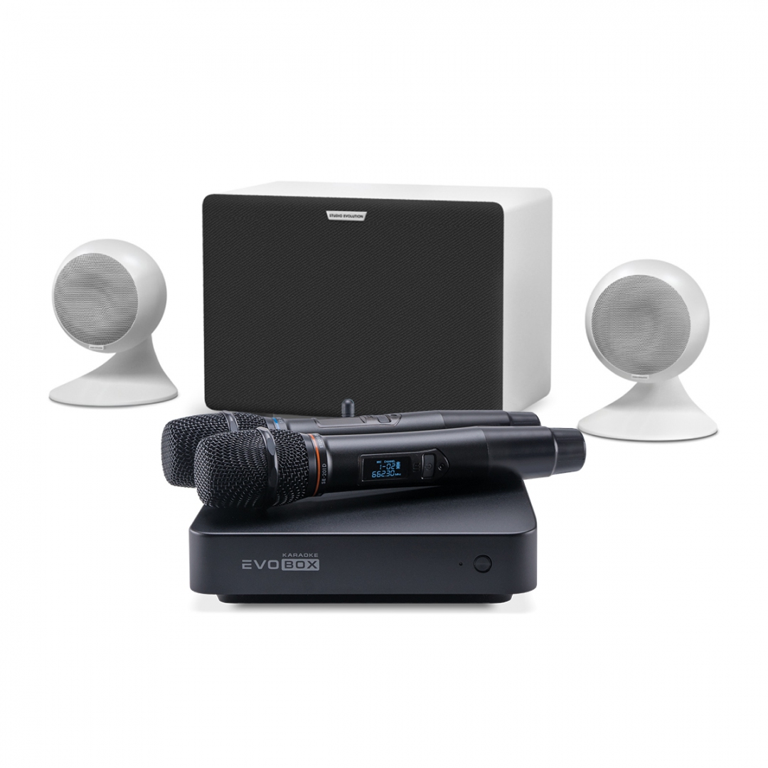 караоке-комплект EVOBOX Classic + EvoSound Sphere 2.1 в Тамбове