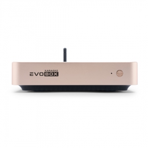 EVOBOX Plus караоке-система для дома в Тамбове