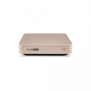 EVOBOX с микрофонами в Тамбове